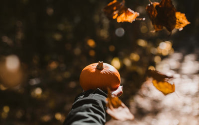 Pumpkin Beauty – How To Acclimatize To Fall